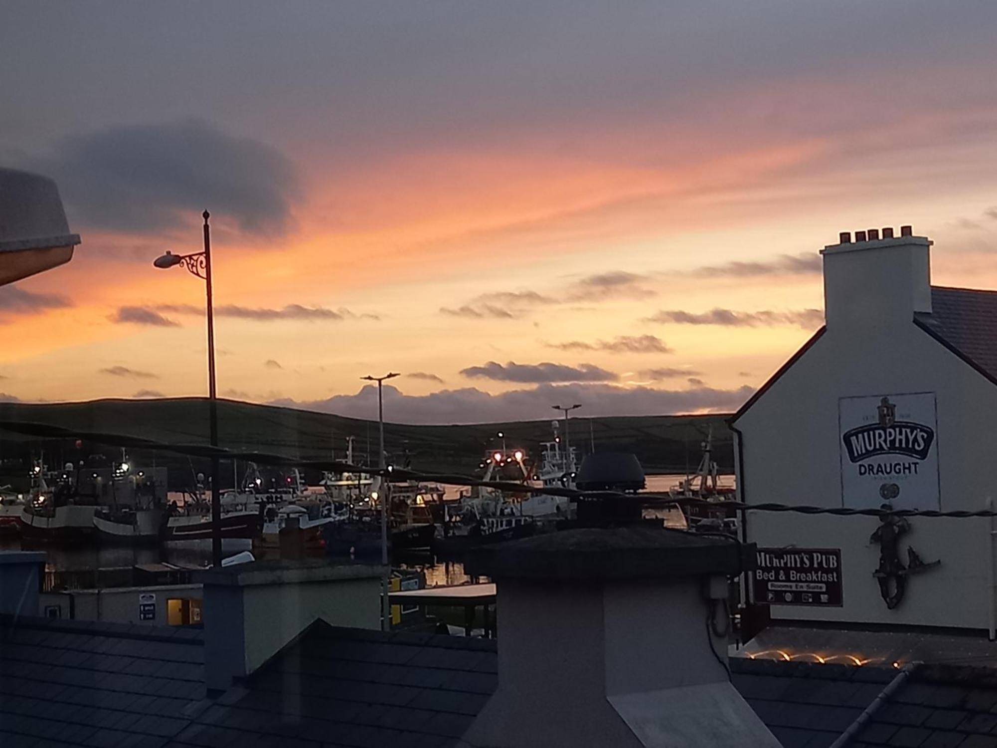 Baywatch Inn Dingle Exteriör bild
