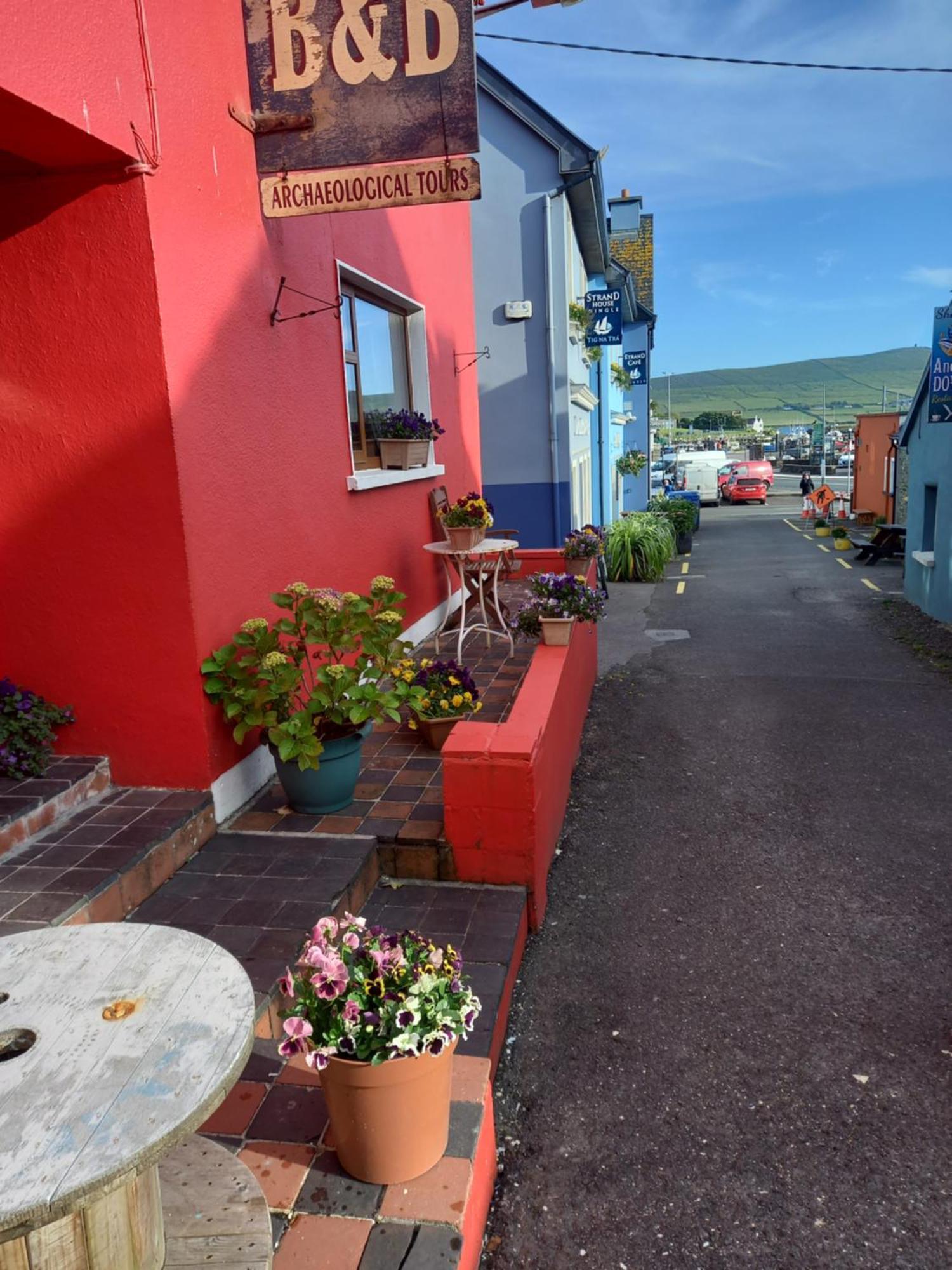 Baywatch Inn Dingle Exteriör bild