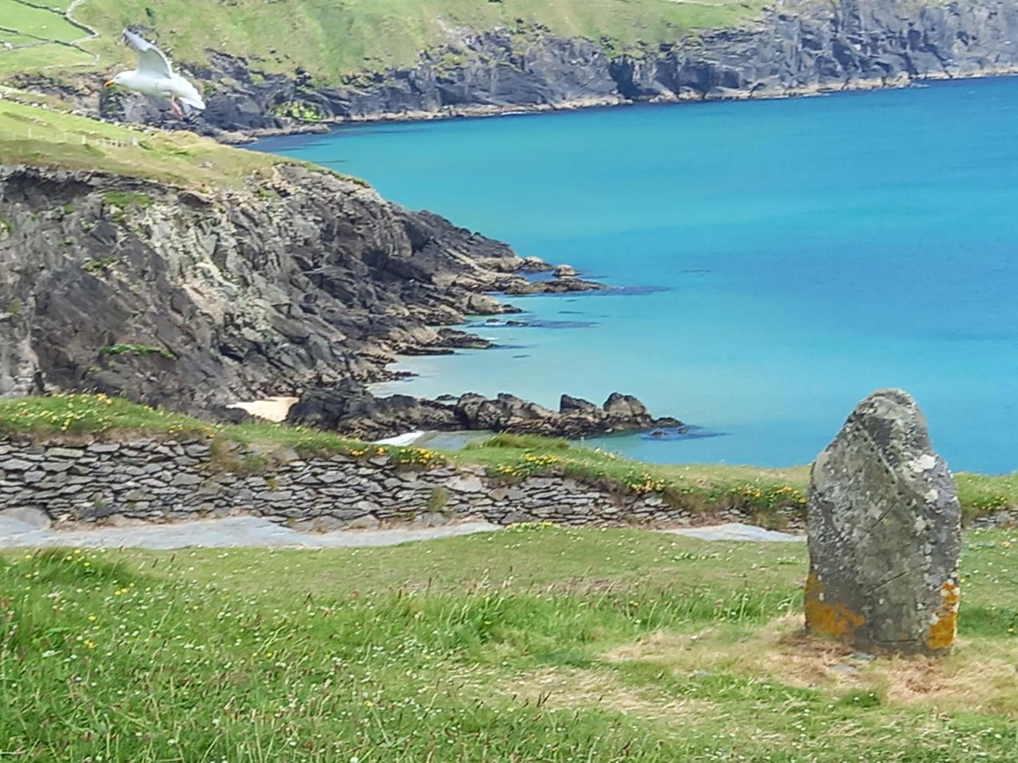 Baywatch Inn Dingle Exteriör bild